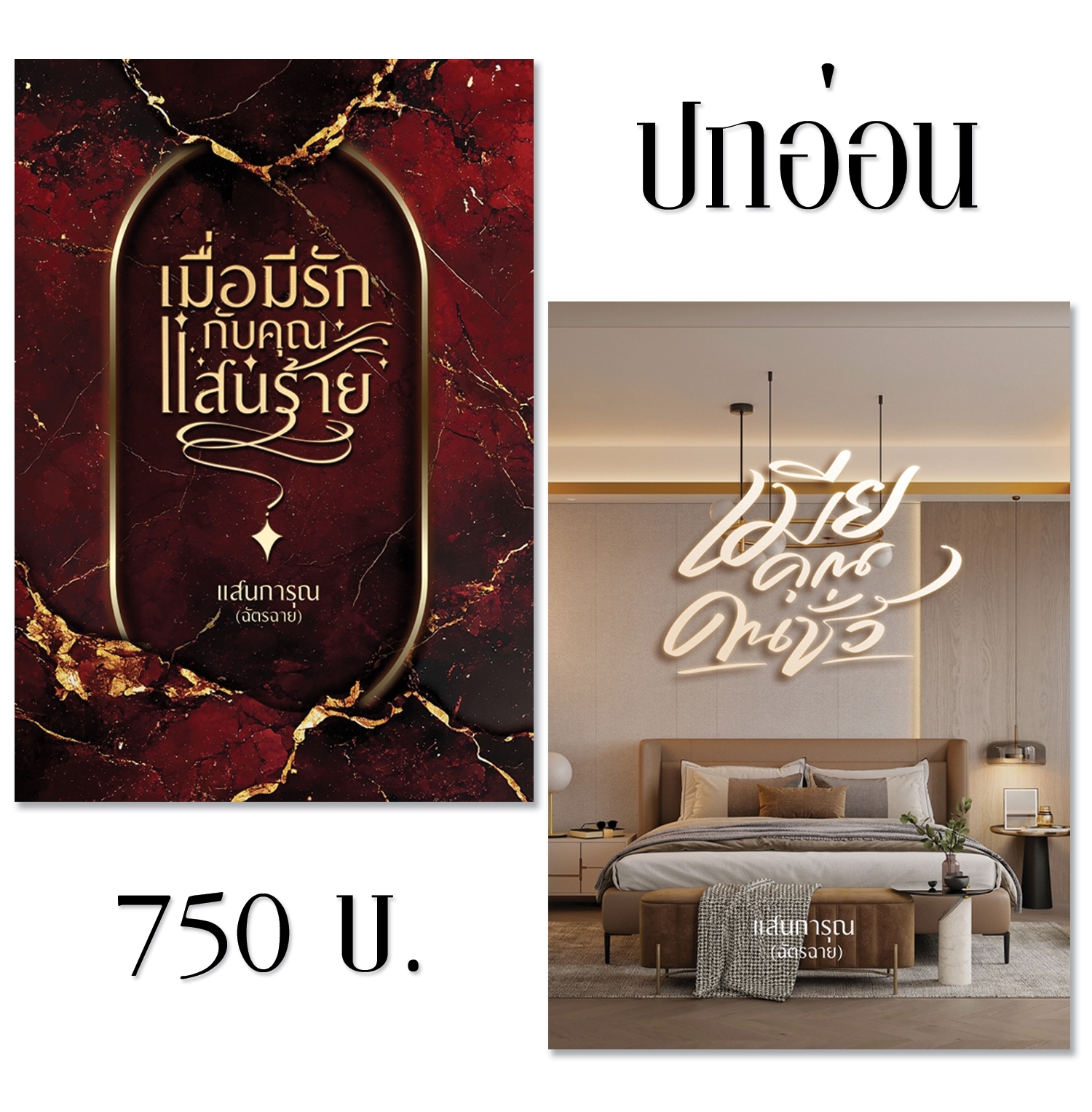 เมื่อมีรักกับคุณแสนร้าย + เมียคุณคนชั่ว (ปกอ่อน)