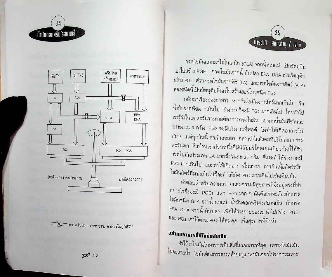 น้ำมันดอกพริมโรสบานเย็น