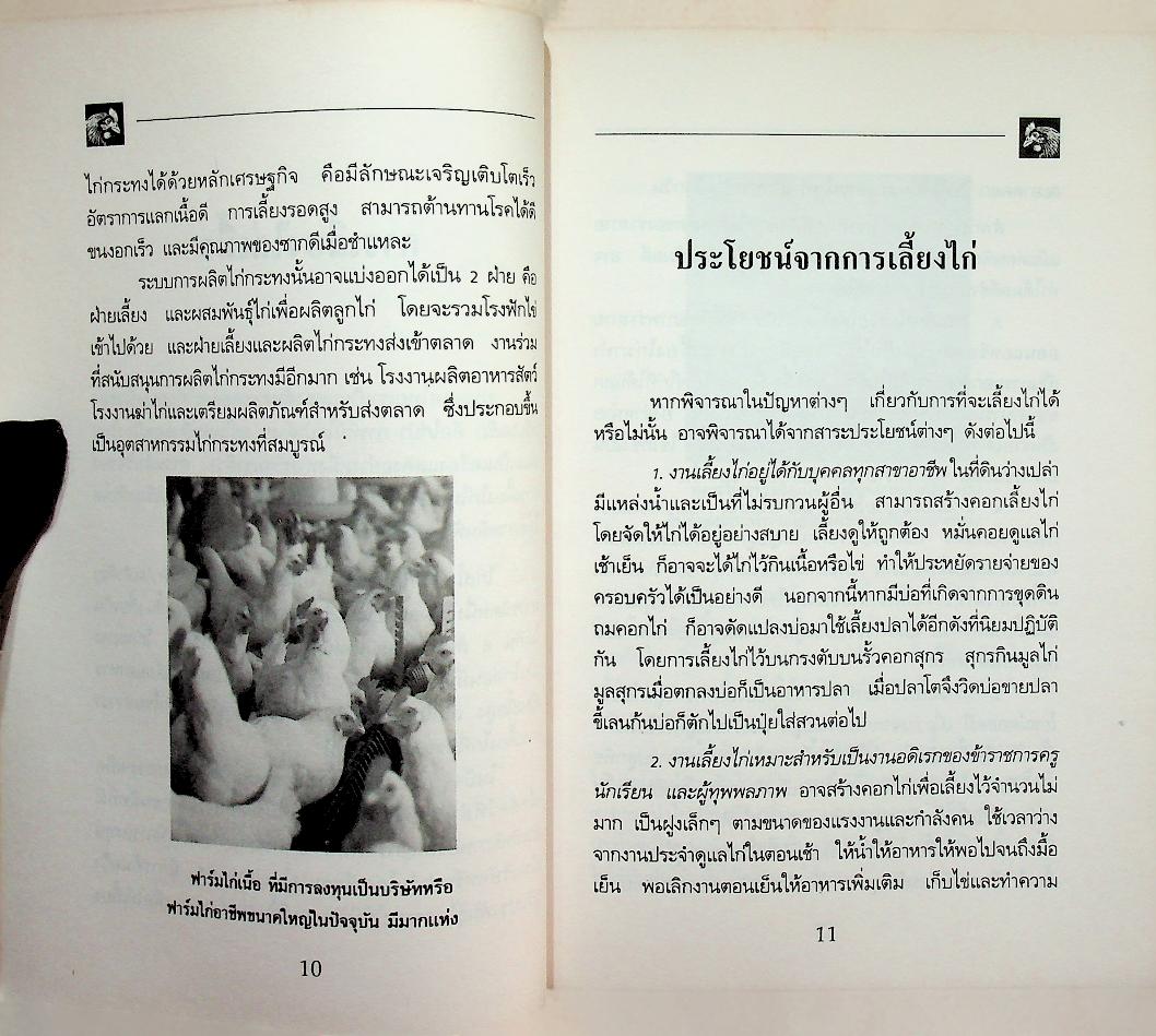 การเลี้ยงไก่เนื้อ