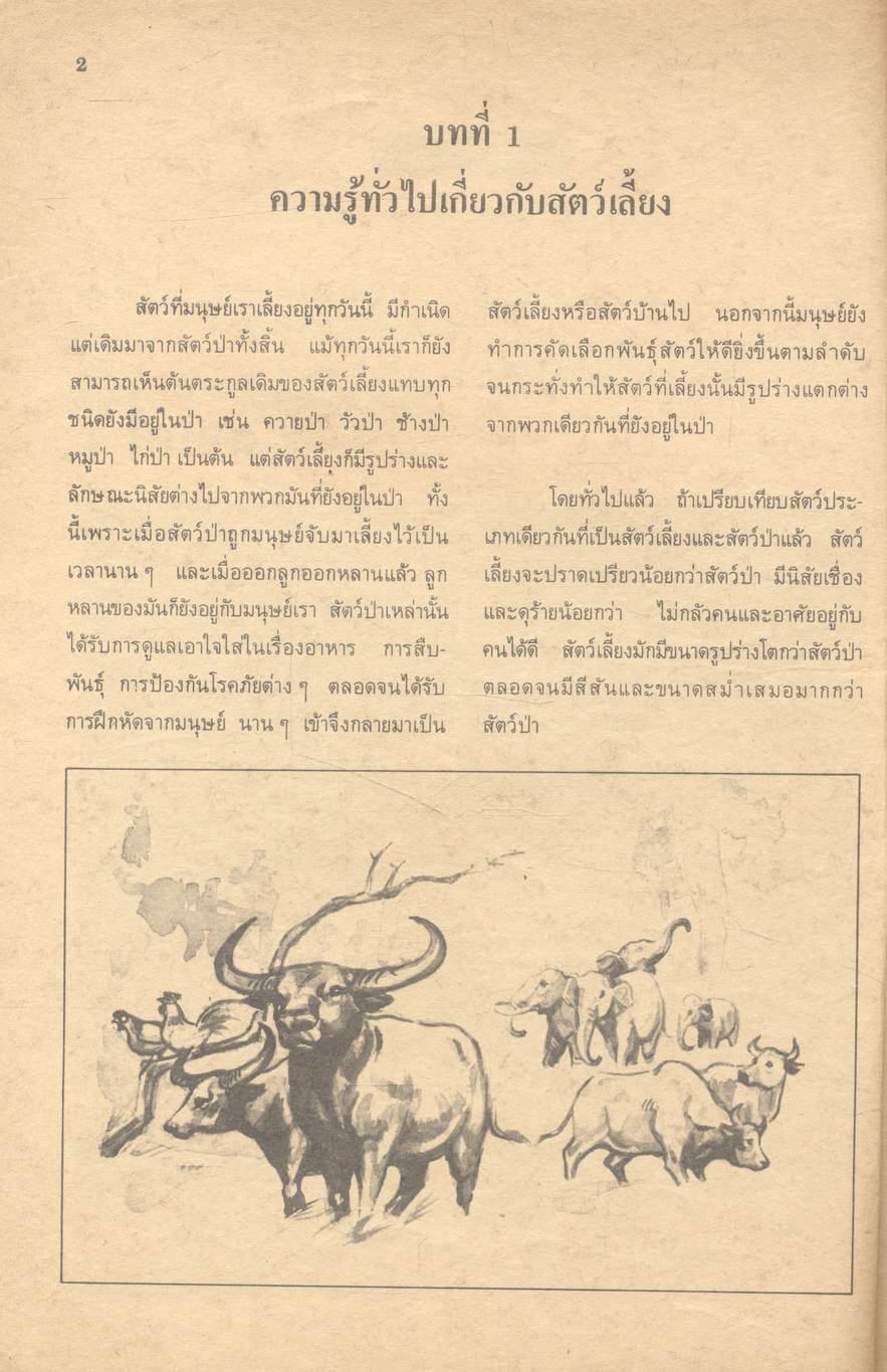 วิชาการงาน งานเกษตร (สัตว์) ง 101 - ง 102 ชั้นมัธยมศึกษาปีที่ 1 (ม.1)