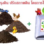 ขายแกลบดําจัดส่ง 080-3296882 จำหน่ายปุ๋ยคอก ขี้วัวนม ปุ๋ยขี้หมู ขี้ไก่ล้วน ขี้ไก่แกลบ มูลวัว จัดส่งทั่วประเทศ