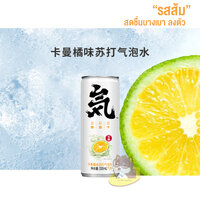 รส ส้มโชกุน (กระป๋อง330ml)