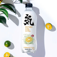 รส ส้มโชกุน (ขวด500ml)