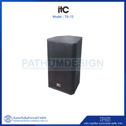 TS-12 Professional Two Way Loudspeaker