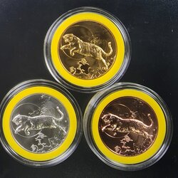 เหรียญนักษัตร ปีขาล พ.ศ.2565 (ชุด 3 เหรียญ เนื้อชุบกาหลั่ยทอง กาหลั่ยเงิน กาหลั่ยนาก) พร้อมกล่องสั่งทำพิเศษ