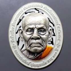 เหรียญรุ่น รวย 9 แชะ(9 แชะ รุ่น 2)เนื้อเงินซาติน ลงยาลายเสือขาว หลวงพ่อพัฒน์ วัดห้วยด้วน โคท 20