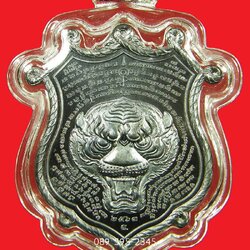 พระโชว์_เหรียญพญาเสือ สมิงเหนือดวง หลวงพ่อไฉน ฉนฺทสาโร เนื้อทองแดง เลข 7