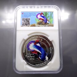 เหรียญเงินขัดเงาลงสี ที่ระลึกปลากัดไทย ชมรมณ์รักษ์เหรียญ บอร์กกษาปณ์