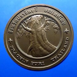 เหรียญประจำจังหวัด เหรียญที่ระลึก จังหวัด ปราจีนบุรี ขนาด 4 ซม.