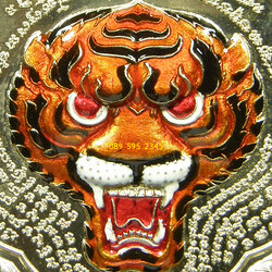 เหรียญพญาเสือ สมิงเหนือดวง หลวงพ่อไฉน ฉนฺทสาโร