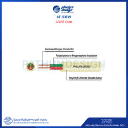สายโทรศัพท์ภายใน Phelps Dodge STATION WIRE (ST OR TIEV) 100 เมตร