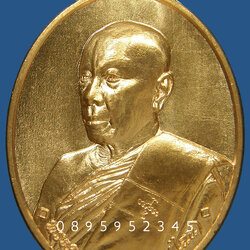 เหรียญพยัคฆ์เจ้าสัว หลวงพ่อไฉน ฉนฺทสาโร เลข ๙๙