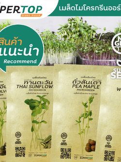 เมล็ดเพาะต้นอ่อน (Microgreen) SUPERTOP | Non-GMO ขนาดซองมือใหม่