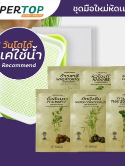 ชุดทดลองเพาะมือใหม่ (แบบไร้ดิน) SUPERTOP | Planting Kit Microgreen