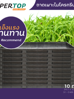 SET 10 ถาดเพาะต้นอ่อนไมโครกรีน แข็งแรงทนทาน สำหรับฟาร์มย่อมๆ | SUPERTOP