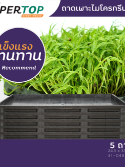 SET 5 ถาดเพาะต้นอ่อนไมโครกรีน แข็งแรงทนทาน สำหรับฟาร์มเล็ก | SUPERTOP