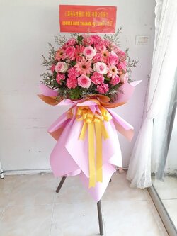 สแตนดอกไม้สด แสดงความยินดี