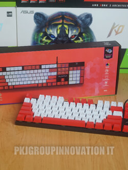 Keyboard มือสอง Nubwo X33 ALISTAR mechanical Gaming Keyboard Mini RGB Lighting ( Red Color )