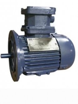 มอเตอร์กันระเบิด CROMPTON ชนิด หน้าแปลน