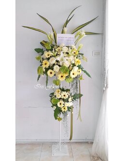 สแตนดอกไม้สด แสดงความยินดี