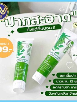 ยาสีฟัน ดีเดนท์ D.Dent ยาสีฟันสมุนไพร5in1 สูตรเปปเปอร์มิ้นต์1แถม1