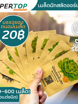 เมล็ดพันธุ์ผักสลัดออร์แกนิก RAILUNGTOP | เก็บจากฝัก สดจากไร่ลุงท๊อป ออร์แกนิก