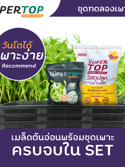 ชุดทดลองเพาะต้นอ่อน (แบบใช้ดิน) SUPERTOP Planting Kit Microgreen