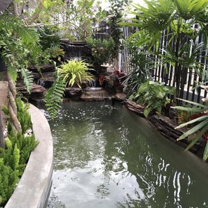 ส่งมอบงานบ่อน้ำตก พร้อมตกแต่งบริเวณบ่อน้ำตก ขอบคุณที่ใช้บริการครับ ที่โคราช