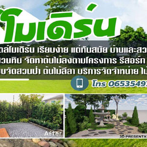 จัดหาหินสวย ขายส่งหินจัดสวน โทร 065-3549747 หินแต่งสวน หินจัดสวน หินทำน้ำตก จัดหาหินธรรมชาติ หินกาบ หินมอส หินฟองน้ำ