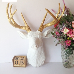 12) โมเดลเขากวาง style โมเดิล