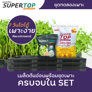ชุดทดลองเพาะต้นอ่อน (แบบใช้ดิน) SUPERTOP Planting Kit Microgreen