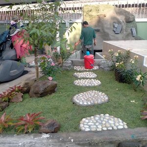 งานออกแบบจัดสวน น้ำตก บริการในเขต สีคิว โชคชัย ครบุรี ช.สานิด 0895700989