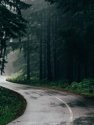 Precautions When Driving During Rain