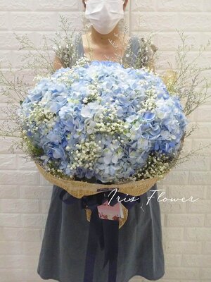 ช่อไฮเดรนเยีย