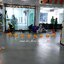 ดอกไม้ประดับสแตนสำหรับ grandopening