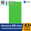 ปกเอ3+ สีพื้น No 6 บรรจุแพคละ50แผ่นกระดาษปก เหมาะกับ เข้าเล่ม รายงาน ปกรายงาน เมนูอาหาร การ์ดอวยพร ปกสมุด ปก