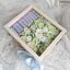 Flower Box กล่องดอกกุหลาบและไรเซนทัส
