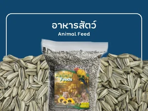 ANIMAL FEEDS อาหารสัตว์