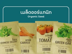 ORGANIC SEEDS เมล็ดออร์แกนิก