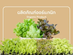 ORGANIC PRODUCT ผลิตภัณฑ์ออร์แกนิก จาก ไร่ลุงท๊อป