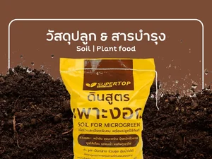 SOIL | PLANT FOOD วัสดุปลูกและสารบำรุง