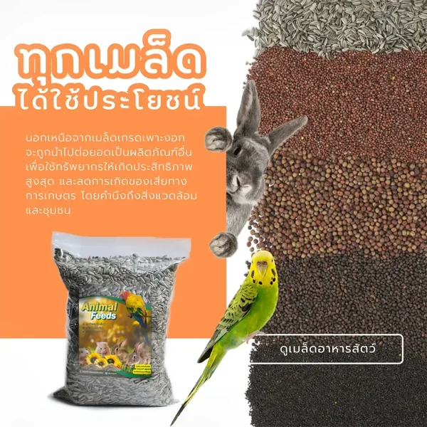 Supertop Greenhouse เมล็ดพันธุ๋ Microgreen&Sprout เมล็ดพันธ์ผักปลอดสารพิษ อุปกรณ์การทำเกษตร ที่จะทำให้การปลูกเป็นเรื่องงาน ใครๆก็สร้างอาหารทานเองได้ที่บ้าน